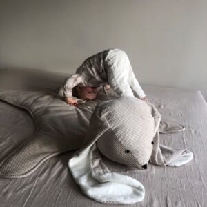 Speelkleed konijn