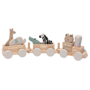 Houten Speelgoedtrein - Jungle Jambo